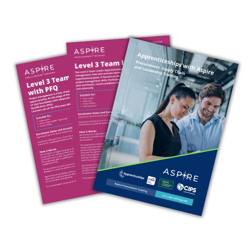 Level 3 Team Leader brochure covers