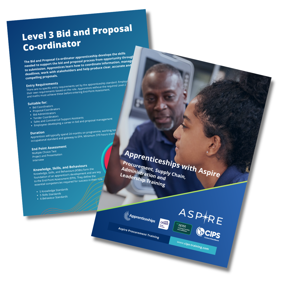 Level 3 Bid and Proposal Co-ordinator