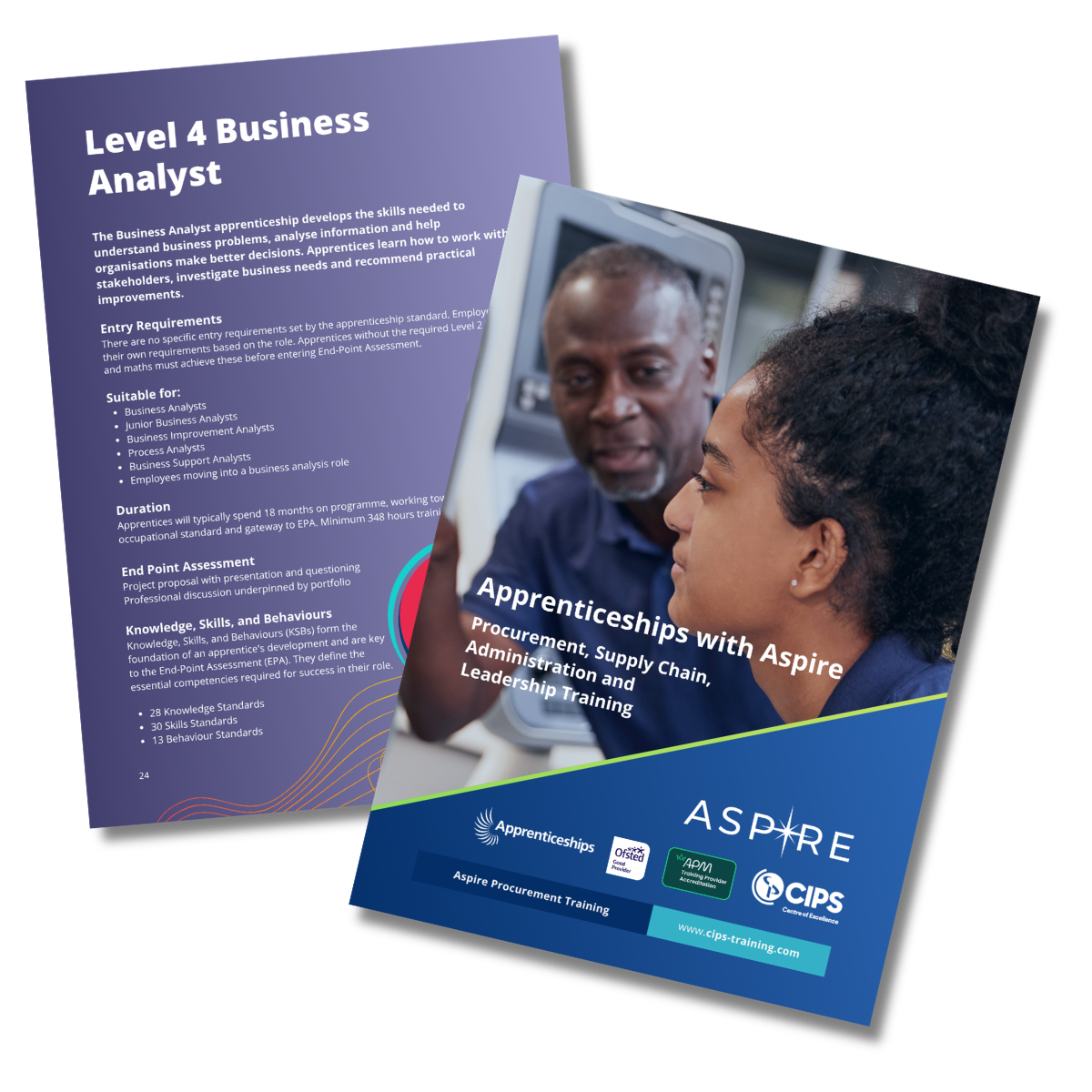 Level 4 Business Analyst Apprenticeship