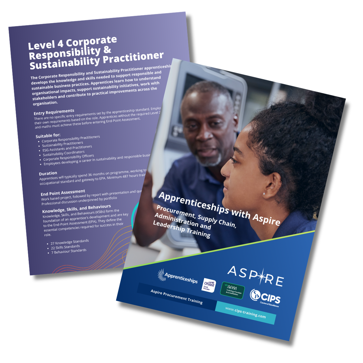 Level 4 Corporate Responsibility & Sustainability Practitioner Apprenticeship